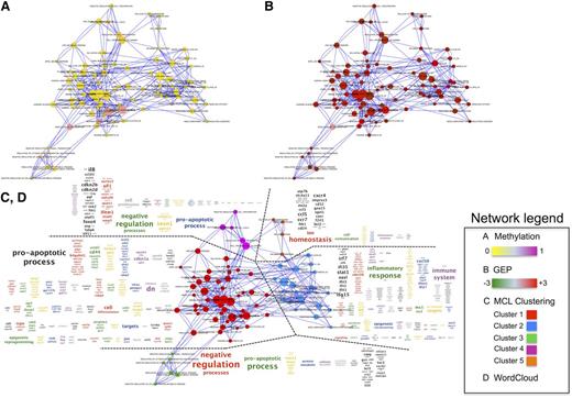 Figure 4. Integrated networks based on methylation and expression data obtained in SMZL cell lines treated with decitabine. Network integrating both genome-wide DNA methylation profiling (A) and GEP (B) changes after decitabine treatment for 72 hours in the 3 SMZL cell lines (Karpas1718, VL51, and SSK41). (C) Markov cluster algorithm (MCL) clustering identified 5 clusters that were annotated using the wordcloud plugin on Cytoscape (D). Genes highlighted in green were high-methylated and repressed, whereas those in red were low-methylated and upregulated in High-M. Red and blue represent high- and low-level methylation (A), respectively, and red and green represent high- and low-level gene expression (B), respectively.