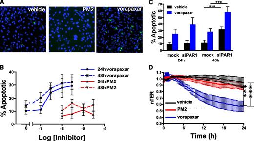 Figure 6. Vorapaxar, but not parmodulin 2, induces endothelial dysfunction upon prolonged exposures. (A) HUVECs were exposed to vehicle alone, 10 μM parmodulin 2, or 0.3 μM vorapaxar, as indicated, for 48 hours and subsequently stained for apoptosis using YO-PRO-1. (B) HUVECs were incubated with the indicated concentrations of either vorapaxar (blue) or parmodulin 2 (red) for either 24 hours (solid lines) or 48 hours (dashed lines) and assayed for apoptosis. Data are presented as means ± SEM (n = 5). (C) Mock-transfected (mock) and PAR1 siRNA–transfected (siPAR1) HUVECs were incubated with either vehicle (black) or 0.3 μM vorapaxar (blue) for either 24 or 48 hours. Samples were subsequently assayed for apoptosis. In each condition, addition of vorapaxar led to a significant increase in apoptosis compared with the unexposed sample (P < .001). Knockdown of PAR1 also increased apoptosis. ***P < .001. Data are presented as means ± SEM (n = 5). (D) HMVEC barrier function was continuously monitored by transendothelial resistance for 24 hours after exposure to either 10 μM parmodulin 2 (red) or 0.3 μM vorapaxar (blue). ***P < .001.