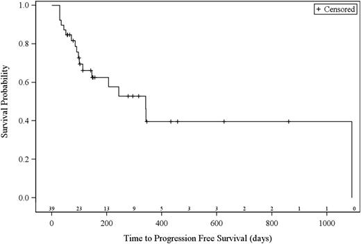 Figure 1. Kaplan-Meier curves of estimated progression-free survival. Number of patients at risk are indicated above the x-axis.