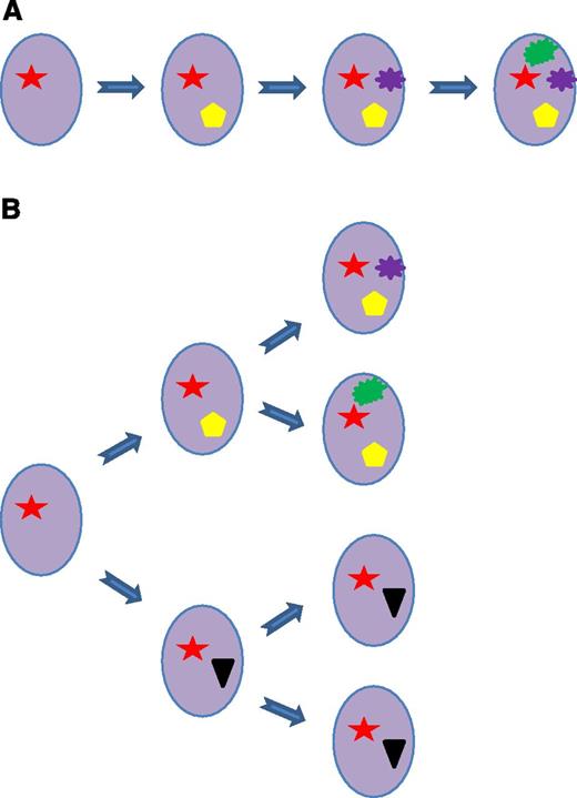 Figure 3. Subclonal evolution. Two different types of subclonal evolution can be observed: a “linear” evolution with accumulation of genetic events (A) and a “branching” evolution with early divergence of subclones with different mutations, which are differentially selected during evolution (B).