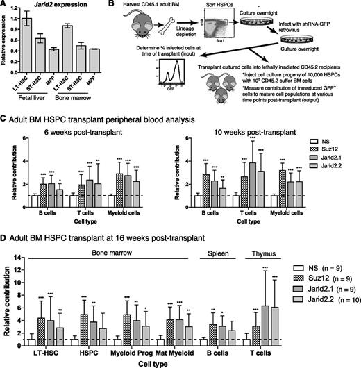 Figure 3. Adult HSPC function is sensitive to Jarid2 depletion. (A) RT-qPCR analysis of Jarid2 expression in LT-HSCs, ST-HSCs, and MPPs purified from E14.5 FL or 8-week-old adult BM from C57BL/6 mice. Results are normalized to housekeeping gene Hprt, expressed relative to a calibrator FL LT-HSC sample. Data represent mean ± SD; n = 3. (B) Experimental design for adult HSPC retroviral infection and transplantation into lethally irradiated recipients. (C) Peripheral blood analysis showing the relative contribution of transduced cells to the T, B, and myeloid cell lineages (as in Figure 2), at 6 and 10 weeks posttransplant. (D) Relative contribution (mean + SD) of transduced adult BM HSPCs to major cell types within the BM, spleen, and thymus (as in Figure 2), at 16 weeks posttransplant. Recipients are from 2 independent cohorts. *P < .05, **P < .01, and ***P < .001 were calculated by using a two-way ANOVA with multiple comparisons in GraphPad Prism5 on logit-transformed data.