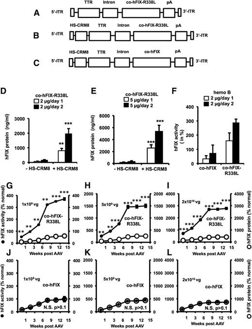 Figure 2. Vector design and functional validation. Schematic representation of pAAV-TTR-co-hFIX-R338L (A), pAAV-HS-CRM8-TTR-co-hFIX-R338L (B) and pAAV-HS-CRM8-TTR-co-hFIX (C) plasmids used in this study. The liver-specific minimal transthyretin (TTR) promoter drives the codon-optimized human FIX (co-hFIX) complementary DNA (cDNA) with or without the Padua R338L mutation (co-hFIX-R338L). The HS-CRM8 is located upstream of the TTR promoter. The minute virus of mouse (MVM) mini-intron and bovine growth hormone polyadenylation site (pA) are also indicated. The expression cassettes were cloned in an scAAV backbone, flanked by the 5′ and 3′ AAV inverted terminal repeats (ITRs), as indicated, and were used to generate the cognate scAAV9-HS-CRM8-TTR-co-hFIX-R338L and scAAV9-HS-CRM8-TTR-co-hFIX vectors. The effect of the HSCRM8 element was assessed by hydrodynamic transfection of the pAAV-HS-CRM8-TTR-co-hFIXR338L (indicated as +HS-CRM8) (B) and control pAAV-TTR-cohFIX-R338L (indicated as –HS-CRM8) (A) plasmids in C57BL/6 mice at doses of 2 μg/mouse and 5 µg/mouse (D-E). FIX expression was measured by using a validated hFIX-specific enzyme-linked immunosorbent assay (ELISA) (n = 4) on plasma samples collected at day 1 or 2 posttransfection. Similarly, to assess the impact of the Padua R338L mutation, hemophilic mice were hydrodynamically transfected with pAAV-HS-CRM8-TTR-cohFIX-R338L (indicated as co-hFIX-R338L) compared with the pAAV-HS-CRM8-TTR-co-hFIX control (indicated as co-hFIX) (F). The clotting factor activity was measured by using a functional chromogenic FIX assay. Subsequently, we injected the cognate scAAV9-HS-CRM8-TTR-co-hFIXR338L (designated as co-hFIX-R338L) (G-I) and scAAV9-HS-CRM8-TTR-co-hFIX (designated as co-hFIX) (J-L) in FIX-deficient hemophilic mice at a dose of 1 × 109 vg/mouse (5 × 1010 vg/kg), 5 × 109 vg/mouse (2.5 × 1011 vg/kg), and 2 × 1010 vg per mouse (1012 vg/kg) (n = 3 per group) (G-L). FIX activity and antigen levels were determined at the indicated times after AAV administration by using a chromogenic FIX activity assay and hFIX-specific ELISA, respectively. Results are presented as mean ± standard error of the mean. *P < .05; **P < .01; ***P < .001 (Student t test); N.S., not significant (P > .1).