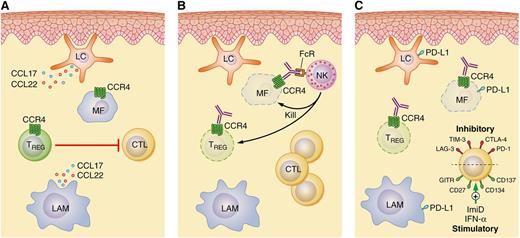 CCR4 as a therapeutic target in cutaneous T-cell lymphomas. (A) Langerhans cells (LC), LAM, and reactive T cells, including Treg cells that suppress reactive T helper and cytotoxic T cells (CTL), are abundant constituents of the tumor microenvironment in MF/SS. Interactions between the chemokines CCL17 and CCL22 and their receptor CCR4 facilitate the intricate crosstalk between a malignant T cell (MF cell) and its microenvironment. (B) Mogamulizumab triggers natural killer (NK) cell-mediated ADCC and depletion of CCR4+ MF and Treg cells. (C) Therefore, mogamulizumab may be rationally combined with immunomodulatory agents, both old (eg, interferons) and new (eg, with a monoclonal antibody targeting T-cell costimulatory or coinhibitory receptors), in future therapeutic strategies. IFN-α, interferon-α. Professional illustration by Patrick Lane, ScEYEnce Studios.