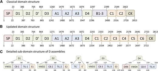 Figure 1. Schematic representation of the old and new domain arrangement of VWF. The molecular architecture of VWF is characterized by the presence of distinct domain structures. (A) The arrangement of 5 different domain structures according to the original analysis of the VWF sequence (reviewed by Pannekoek and Voorberg).4 The numbering of the domain boundaries has been used in our laboratory in previous years. (B) The domain organization as has been recently proposed by Zhou et al.5 One striking difference with the original domain structure is the replacement of the B1-3-C1-C2 domain region by 6 homologous C domains. In addition, their analysis revealed that the D domains consist of various independent structures, which are highlighted in panel (C). The D1, D2, and D3 domains each contain a VW domain, a trypsin inhibitor-like structure, a C8 fold, and an E module. The D′ region lacks the VW domain and C8 fold. The D4 domain lacks the E module, but instead comprises a unique sequence designated D4N. Adapted from Rauch et al6 with permission.