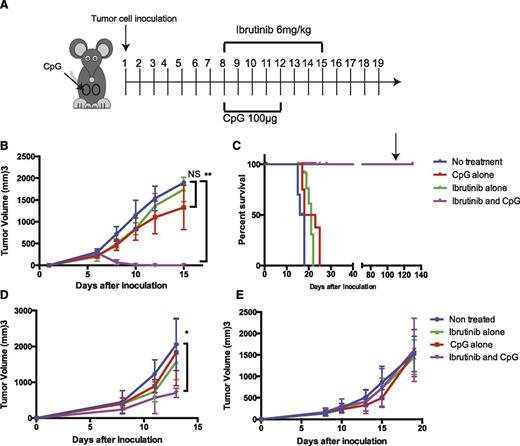 Figure 2. Ibrutinib plus intratumoral CpG induces a systemic antitumor effect in ibrutinib-sensitive tumors. C57BL/6 mice were inoculated with 1 × 106 H11 or BL3750 cells and BALB/C were inoculated with 5 × 106 A20 cells subcutaneously on both right and left of their abdomen. Tumor growth was monitored with a digital caliper. Mice were treated with ibrutinib/CpG alone or ibrutinib plus CpG. Ibrutinib (6 mg/kg) was given daily from day 8 after tumor implantation for 8 days. CpG (100 µg) was injected daily into the right tumor on days 8 to 12. (A) Schema of treatment. (B) The average tumor size of the nontreated left tumor. (C) Kaplan–Meier survival curves. On day 120, surviving mice were rechallenged with 2 × 106 H11 cells. (D-E) The average tumor size of the nontreated left tumor BL3750 and A20, respectively. Statistically significant differences (indicated by asterisks); P < .05. Each tumor model included n = 10 mice. Three separate experiments with similar results were performed. Error bars indicate SD. NS, not significant.