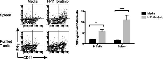 Figure 6. Ibrutinib-exposed tumor cells present their antigens to T cells. H11 tumor cells were incubated with ibrutinib (1 µM) for 24 hours and then cocultured with splenocytes or purified splenic T cells from mice that had been treated with the ibrutinib/CpG combination. IFN-γ production by CD3+/CD8+ T cells was measured by flow cytometry after 24 hours. The proportion of IFN-γ+ cells as a percentage of lymphocytes was calculated and shown as dot plots and as bar graphs. This response was higher when splenic APCs were present.