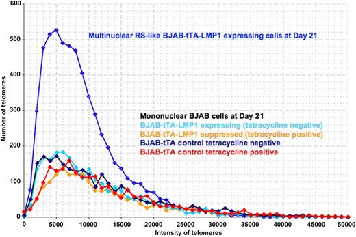 Figure 3. 3D telomere dynamics of multinucleated RS-like cells in the Burkitt lymphoma cell line BJAB-tTA-LMP1. Telomere distribution according to size. Results are based on 3D analysis of 30 cells for each time point. Frequency (y-axis) and relative fluorescent intensity (ie, size of telomeres) (x-axis) reveal individual telomere profiles for each time point. Telomeres with a relative fluorescent intensity (x-axis) ranging from 0 to 5000 units are classified as very short, intensity from 5000 to 15 000 units as short, intensity from 15 000 to 30 000 units as mid-sized, and intensity >30 000 units as large. LMP1 expression induces multinucleated RS-like cells with abundant very short and short telomeres when compared with mononuclear cells at day 21.