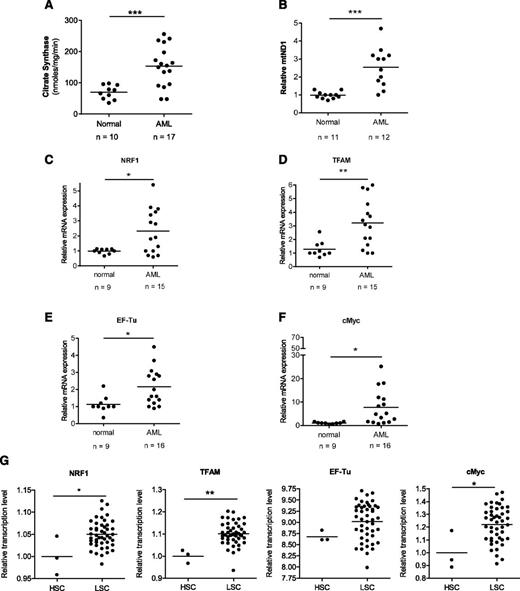 Figure 1. Primary AML samples have increased mitochondrial mass and mRNA level of mitochondrial biogenesis regulators. (A) Citrate synthase activity as a marker of mitochondrial mass was determined in primary normal hematopoietic cells (G-CSF mobilized peripheral blood mononuclear cells) and AML samples. (B) Mitochondrial DNA copy number was determined in primary normal hematopoietic and AML samples. DNA was extracted from cells and mRNA levels of the mitochondrial ND1 gene (mtND1) relative to human globulin (HGB) were measured by qRT-PCR. (C-F) Expression of NRF1, TFAM, EF-Tu, and c-Myc mRNA was measured in primary normal hematopoietic and AML samples. Expression was determined by qRT-PCR using 18s RNA as an internal standard. (G) Expression of NRF1, TFAM, EF-Tu, and c-Myc mRNA in functionally defined AML stem cells (LSC) vs normal hematopoietic stem cells (HSC) (G-CSF mobilized peripheral blood mononuclear cells). Data were derived from the publically accessible data set GSE 30377, achieved on the Gene Expression Omnibus. In all panels, *P < .05; **P < .01; ***P < .001 as determined by the unpaired Student t test.
