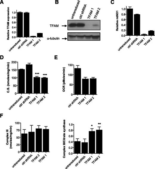 Figure 3. Genetic inhibition of mitochondrial biogenesis factor TFAM rescues effects of oxidative stress. (A-B) OCI-AML-2 cells were infected with TFAM targeting shRNAs or control sequences in lentiviral vectors. Four days posttransduction, TFAM mRNA expression relative to 18S was made by qRT-PCR (A) and TFAM protein expression was determined by immunoblotting (B). (C) DNA was extracted from cells, and quantitative PCR was used to measure levels of ND1 relative to HGB. ND1/HGB ratio is shown relative to control cells. (D) Citrate synthase activity as a marker of mitochondrial mass was determined in TFAM knockdown clones. (E) Basal OCR was shown after 1 hour of incubation in cell chambers. (F) Activity of complex III was measured in control and TFAM knockdown cells. Left panel shows complex activity was normalized to total protein concentration. Right panel shows complex activity was normalized to mitochondrial mass using citrate synthase activity. Data represent the mean complex activity ± standard deviation (SD) from representative experiments performed in triplicate. TFAM knockdown experiments in AML cells were repeated twice. In all panels, *P < .05; **P < .001; ***P < .0001 as determined by the unpaired Student t test.
