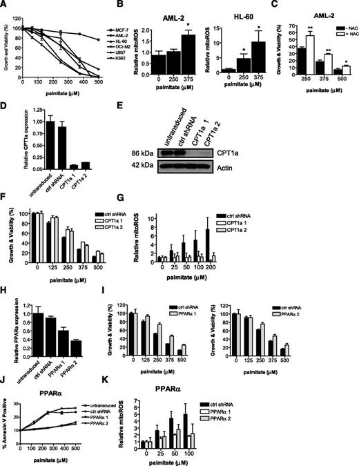 Figure 6. Low spare reserve capacity renders AML cells sensitive to oxidative metabolic stress by palmitate, and this sensitivity can be rescued by genetically inhibiting fatty acid oxidation pathway. (A) Leukemic cells and MCF-7 cells were treated with increasing concentrations of palmitate for 72 hours. Cell viability and growth were measured by Cell Titer Fluor viability assay. (B) OCI-AML-2 and HL-60 cells were treated with increasing concentrations of palmitate for 24 hours. ROS production was measured by staining with MitoSOX and flow cytometry. (C) OCI-AML-2 cells were treated with increasing concentrations of palmitate for 72 hours in the presence and absence of N-acetylcysteine. Cell growth and viability was measured by Cell Titer Fluor viability assay. (D-F) OCI-AML-2 cells were infected with lentiviral vectors containing shRNAs targeting CPT1a or noncellular targets (control). A total of 6 days postinfection, CPT1a mRNA expression relative to 18s RNA was analyzed by qRT-PCR (D) and CPT1a protein expression was determined by immunoblotting (E). Cell growth and viability were measured by Cell Titer Flo after treating cells with palmitate for 72 hours (F). (G) Infected OCI-AML-2 cells were treated with increasing concentrations of palmitate for 24 hours. ROS production was measured by staining with MitoSOX and flow cytometry. (H-K) OCI-AML-2 cells were infected with lentiviral vectors containing shRNAs targeting PPARα or noncellular targets (control). Four days postinfection, PPARα mRNA expression relative to 18s RNA was analyzed by qRT-PCR (H). Cell growth and viability were measured by Cell Titer Flo after treating cells with palmitate for 72 hours (I). Infected OCI-AML-2 cells were treated with increasing concentrations of palmitate. 72 hours after treatment, cell viability was measured by Annexin V/PI staining (J). Infected OCI-AML-2 cells were treated with increasing concentrations of palmitate for 24 hours. ROS production was measured by staining with MitoSOX and flow cytometry (K). In all panels, error bars represent mean ± SD of independent/representative experiments. *P < .05; **P < .001 as determined by Tukey’s test after 1-way analysis of variance, comparing to controls. CPT1a and PPARα knockdown experiments were repeated twice.