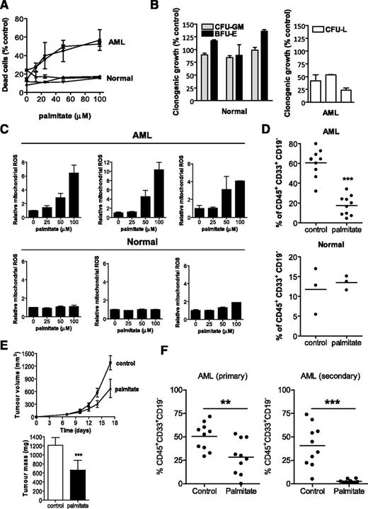 Figure 7. Palmitate demonstrates therapeutic efficacy on AML growing in vitro and in vivo. (A) CD34+ AML cells, normal bulk hematopoietic cells, and CD34+ normal hematopoietic cells were treated with increasing concentrations of palmitate (stock concentration of 2 mM palmitate conjugated with 0.17 mM bovine serum albumin). A total of 24 hours after treatment, cell viability was measured by Annexin V/PI staining. (B) Primary AML (n = 3) and normal hematopoietic cells (n = 3) were treated with 50 μM palmitate for 24 hours and were plated in clonogenic growth assays. The number of resultant colonies was counted, including CFU-GM, BFU-E, and CFU-L colony-forming units. The mean percentage of colonies obtained ± SD compared with buffer control–treated cells is shown. (C) Normal hematopoietic cells and primary AML samples were treated with increasing concentrations of palmitate. After 4 hours of treatment, levels of ROS were measured by staining with MitoSOX and flow cytometry. (D) Primary AML and Lin− CD34+-enriched human cord blood cells were treated with 50 μM palmitate or buffer control for 24 hours. After treatment, equal cell numbers were injected into the right femurs of irradiated NOD/SCID mice preconditioned with anti-CD122. Eight weeks later, the percentage of human CD45+CD33+CD19− cells in the noninjected femurs was measured by FACS. ***P < .0001 as determined by the unpaired Student t test. (E) NOD/SCID mice were injected subcutaneously with OCI- AML-2 leukemia cells. After tumors were palpable (day 7), mice were treated with palmitate or vehicle control as described in Materials and Methods. Tumor volume was measured with time and tumor mass was measured at the end of the experiment. Data represent mean ± SD. **P < .001, by Student t test. (F) Sublethally irradiated NOD/SCID mice preconditioned with anti-mouse CD122 were injected intrafemorally with primary AML cells. Six days after injection, mice were treated with palmitate or vehicle control as described in Materials and methods. Engraftment of human AML cells into the mouse marrow was assessed by determining the percentage of human CD45+CD33+CD19− cells by flow cytometry. *P < .01 by Student t test.