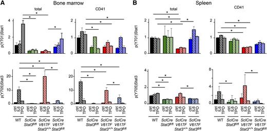 Figure 5. Phospho-flow analysis of signaling in bone marrow and spleen cells. Mice were euthanized 25 weeks after starting tamoxifen. Intracellular detection by flow cytometry of phospho(Y701)Stat1 and phospho(Y705)Stat3 in total and in CD41+ (A) bone marrow and (B) spleen cells stimulated or not with IL-6 or Tpo. Fold increase (unstimulated WT control set to 1) of positive phosphorylated cells was calculated (n = 3 per group). One-way ANOVA was used for comparisons with subsequent Bonferroni post-test (*P < .05).