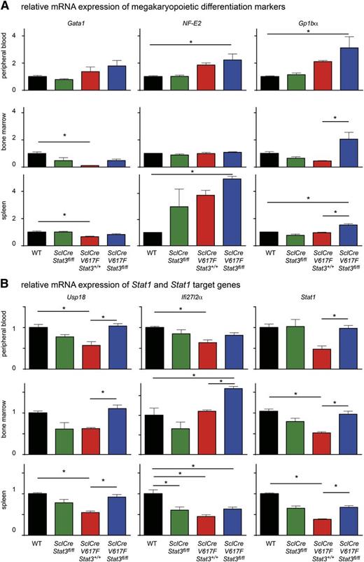 Figure 6. Gene expression analysis in peripheral blood, bone marrow, and spleen of transgenic mice and controls. Quantitative PCR measuring the fold changes in mRNA expression of selected megakaryopoietic differentiation markers (A: Gata1, NF-E2, and Gp1bα) and Stat1 target genes (B: Usp18, Ifi27l2α, and Stat1) are shown and normalized against GusB mRNA. One-way ANOVA was used for comparisons with subsequent Bonferroni post-test (*P < .05).