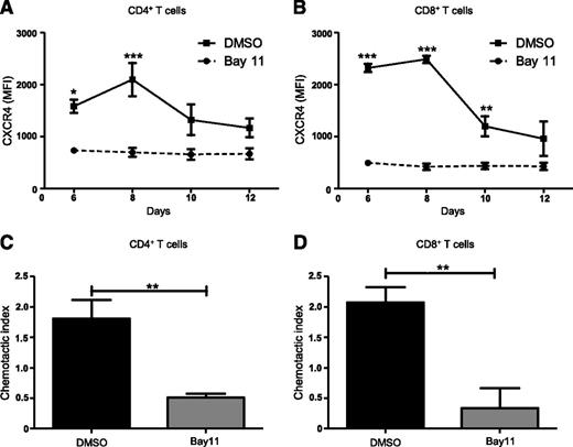 Figure 3. Inhibiting NF-κB signaling reduces CXCR4 expression and abrogates T-cell migration. Splenocytes from C57BL/6 mice were treated with DMSO or Bay11 (1 μM) and cocultured for 12 days with BMDCs from F1 hybrids. CXCR4 expression was assessed by flow cytometry on (A) CD4+ and (B) CD8+ T cells; n = 3. On day 8 postculture, nonadherent cells were harvested from cocultures (as above) and their chemotactic response to SDF-1α was analyzed. Cells were added to Transwell inserts; 0 or 100 ng/ml SDF-1α was added to wells. Cultures were incubated for 3 hours, at which time migrated cells were harvested from wells and CD4+ and CD8+ T cells were enumerated by flow cytometry. The chemotactic index (number of cells migrated into 100 ng/ml SDF-1α wells/number of cells migrated into 0 ng/ml SDF-1α wells) was calculated for DMSO- or Bay11-treated (C) CD4+ and (D) CD8+ T cells; n = 3. Data are the mean ± SEM, and were analyzed using two-way ANOVA plus Bonferroni post-test (A-B) or two-tailed unpaired Student t test (C-D). *P < .05; **P < .01; ***P < .001.