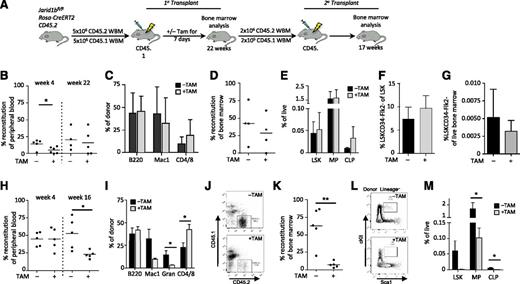 Figure 2. Jarid1b deletion compromises HSC potential. (A) Experimental design for transplantation. Five million BM cells isolated from Jarid1bfl/flRosaCreERT2 mice were competitively transplanted (donor-to-recipient ratio of 1:1) into recipient mice, followed by exposure to tamoxifen (+TAM) or vehicle (−TAM) for 7 days to induce Jarid1b deletion from the donor BM. Primary transplant analysis of PB donor reconstitution at 4 and 22 weeks; *P = .0346, unpaired Student t test (B); PB donor lineage distribution at week 22 (C); BM donor reconstitution at week 24 (D); and frequency of LSK, MP, and CLP (Lin–Flk2+IL7Rα+cKitmidScalmid) populations within BM (E). Frequency of HSCs (LSKCD34−Flk2−) within the LSK compartment (F) and within the live BM (G). (H-M) Secondary transplant analysis. Using FACS, 2 million donor cells were isolated from those primary transplants showing chimerism >10% and transplanted competitively (donor-to-recipient ratio of 10:1) into secondary recipients. (H) PB donor reconstitution at 4 and 16 weeks. *P = .0205; unpaired Student t test. (I) PB donor lineage distribution at week 16. CD4/CD8: *P = .0277; Gran (granulocytes): *P = .047. (J) Representative flow cytometry plots showing donor (CD45.2) vs recipient (CD45.1) BM from mice treated with (+) or without (−) TAM. (K) BM donor reconstitution at week 17. **P = .0019; unpaired Student t test. (L) Representative flow plots of LSK gates in mice transplanted with BM treated with (+) or without (−) TAM. (M) Frequency of LSK, MP, and CLP populations within BM. MP: *P = .0104; CLP: *P = .0182; unpaired Student t test. Error bars ± standard deviation.