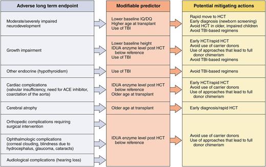 Potential actions that healthcare providers/public health systems could take to mitigate poor outcomes in patients with Hurler syndrome undergoing transplantation. Professional illustration by Patrick Lane, ScEYEnce Studios.