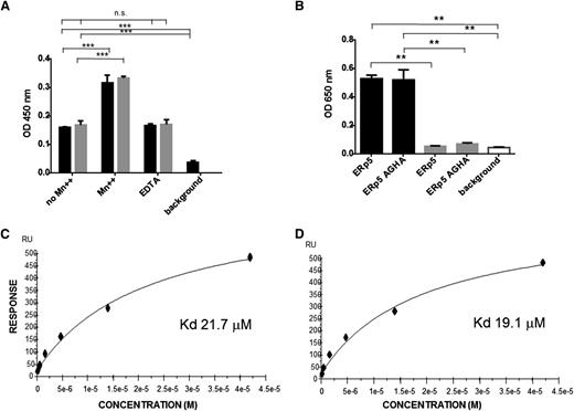 Figure 7. Binding of ERp5 and ERp5-AGHA to αIIbβ3 and directly to the β3 subunit. (A) Binding of αIIbβ3 to immobilized ERp5 or ERp5-AGHA was measured in the presence or absence of MnCl2 (Mn++; 2 mM), in the presence of EDTA (5 mM), or in the absence of added αIIbβ3 (background), as indicated. Bound αIIbβ3 was detected with an anti-CD41 conformation-independent antibody. ERp5 (black) and ERp5-AGHA (gray) binding to αIIbβ3 were compared by nonparametric Student t tests: no Mn++ vs Mn++ and no Mn++ vs background,***P < .0001. There is no significant difference between no Mn++ vs EDTA. Results are the average of 3 experiments. (B) Binding of ERp5 (100 nM) or ERp5-AGHA (100 nM) to αIIbβ3 (black) or glycoprotein (GP)Ibα (gray), both coated at 20 nM on 96-well plates in the absence of Mn++ or in the absence of bound ERp5 or ERp5-AGHA (background; white). Bound ERp5 or ERp5-AGHA was detected with anti-ERp5 antibody. ERp5 binding to αIIbβ3 vs GPIba, ERp5-AGHA binding to αIIbβ3 vs GPIbα, ERp5 binding to αIIbβ3 vs background, and ERp5-AGHA binding to αIIbβ3 vs background, **P < .005. Binding of ERp5 or ERp5-AGHA to GPIbα vs background was not statistically significant. Results are the average of 3 experiments. Surface plasmon resonance was used to determine the binding constant for ERp5 with recombinant β3 integrin tagged with calmodulin in the presence (C) or absence of Mn++ (D). ERp5 was coated on the Biacore chip. Lines represent the fitted curves of ERp5 at concentrations of 0, 0.33, 0.66, 1.31, 2.63, 5.25, 10.25, 21, and 42 µM. The KD values for ERp5 interaction with the β3 subunit in the presence and absence of Mn++ were 21.7 μM and 19.1 μM, respectively. ERp5 did not bind to calmodulin alone. n.s., not significant; RU, relative units.