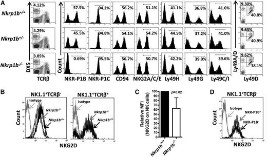 Figure 2. NKC gene expression in NKR-P1B-deficient mice. (A) Splenic NK cells (DX5+TCRβ–) from WT, NKR-P1B-deficient, and heterozygous littermate mice were analyzed for expression of the indicated NK cell receptors encoded in the NKC. Representative plots from 1 of 6 to 7 mice are shown. The percentage of positively stained NK cells is indicated. (B) Downmodulation of NKG2D on splenic NK cells (NK1.1+TCRβ–) but not NKT cells (NK1.1+TCRβ+) from NKR-P1B-deficient mice. (C) Graphical representation of relative median fluorescence intensity (MFI) of NKG2D on NK cells from WT and NKR-P1B-deficient littermate mice (n = 6 mice). Statistical analysis was performed by Student t test, and the P value is indicated. (D) NKG2D expression on NKR-P1B+ and NKR-P1B− subsets of NK cells from the spleen of a WT B6 mouse.