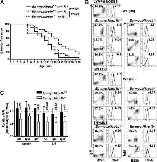 Figure 6. Delayed onset of B lymphoma in NKR-P1B-deficient mice expressing the Eµ-myc transgene. (A) Kaplan-Meier representation of palpable tumor appearance in Eµ-myc.Nkrp1b+/+, Eµ-myc.Nkrp1b+/−, and Eµ-myc.Nkrp1b−/− mice. Statistical analysis was performed by log-rank test, and the P value is indicated. (B) Flow cytometric analysis of B220, IgM, and Clr-b expression on B lymphoma cells from affected organs (lymph nodes, spleen, and thymus) from Eµ-myc.Nkrp1b+/+ and Eµ-myc.Nkrp1b−/− mice after disease onset and from healthy WT mice. The percentage of gated cells from each organ is indicated. Clr-b expression on gated B lymphoma cells is represented on the histograms by a dark line; isotype control by a gray line. Clr-b median fluorescence intensity (MFI) values are normalized to isotype control IgM MFI (Clr-b/isotype Ig MFI), and are shown on respective plots. (C) Graphical representation of Clr-b expression levels on mature (IgM+), immature (IgM–), and all B lymphoma cells taken together, in the spleen and lymph nodes of Eµ-myc.Nkrp1b+/+ and Eµ-myc.Nkrp1b−/− mice relative to the expression of Clr-b on mature B cells in WT mice. Vertical columns represent Clr-b/isotype Ig MFI ratio, and error bars represent SD. The horizontal dotted line represents the Clr-b/isotype Ig MFI ratio on mature B cells (B220+IgM+) from WT mice (arbitrarily set to 1.0). Statistical analysis was performed by Student t test, and P values are indicated. Ig, immunoglobulin.