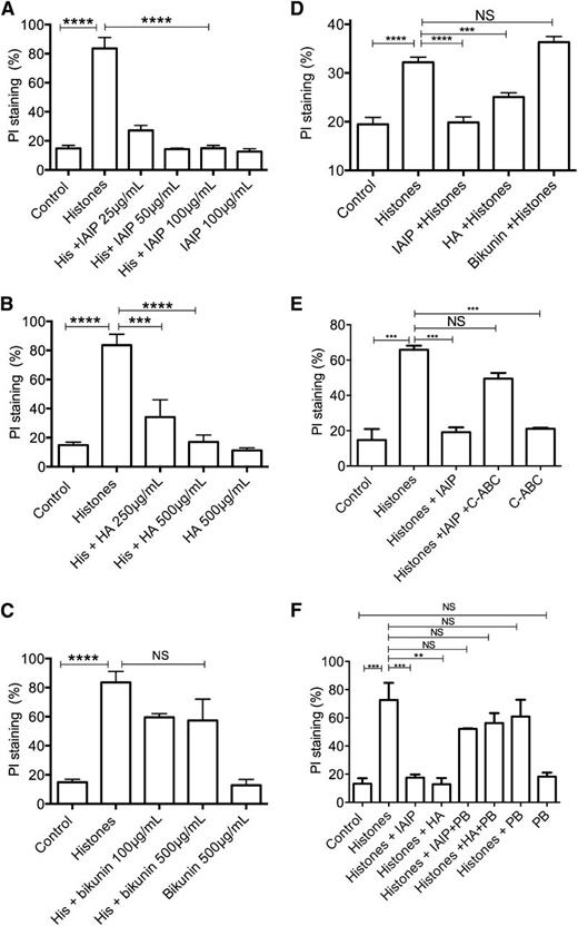 Figure 1. IAIP and HMW-HA, but not bikunin, prevent histone-induced cytotoxicity. Cell viability was measured by flow cytometry using PI staining in HL-60 cells incubated with CTH (50 µg/mL) at 37°C for 30 minutes in the presence or absence of (A) IAIP 25 to 100 µg/mL, (B) HA 250 to 500 µg/mL, and (C) bikunin 100 to 500 µg/mL. (D) Cell viability measured as above in EA.hy926 endothelial cell line in the presence or absence of IAIP 100 µg/mL, HA 500 µg/mL, or bikunin 500 µg/mL. (E) Effect of chondroitinase ABC (C-ABC) on cell protective effect of IAIP. HL-60 cells were incubated with histones with or without IAIP pretreated or not with C-ABC (0.05 IU/mg, 18 hours at 37°C) before analysis with flow cytometry. C-ABC alone did not affect cell viability. (F) Polybrene (PB) abolishes the cytoprotective effects of IAIP and HA. HL-60 cells were incubated with histones with or without IAIP or HA pretreated or not with Polybrene (0.5 mg/mL). Polybrene alone does not affect histone cytotoxicity and has no direct effect on cell viability. Data are presented as mean ± standard error of the mean (SEM) of 3 independent experiments using one-way analysis of variance (ANOVA) with Bonferroni’s multicomparison test. ****P < .0001, ***P < .001, and **P < .01 compared with the histone challenge group. NS, not significant.