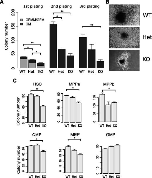 Figure 2. miR-29a/b-1-null HSPCs exhibit decreased colony forming capacity in methylcellulose colony assays. (A) Methylcellulose colony assays were performed using c-Kit+-enriched bone marrow cells. The first plating was initiated using 3000 c-Kit+ cells from WT, Het, and KO mice. Replatings were performed using 20 000 cells per well. (B) Photomicrographs of typical colonies generated by WT, Het, and KO HSPCs on initial plating. (C) Methylcellulose colony assays were performed using purified HSPCs. Six populations, including HSC, MPPa, MPPb, CMP, MEP, and GMP, were double FACS sorted and 150 (HSC, MPPa, MPPb) or 400 (CMP, MEP, and GMP) cells were plated. Data shown represent the aggregate of 3 technical replicates. Error bars indicate SEM. Statistical significance was calculated using a Student t test: *P < .05; **P < .01.