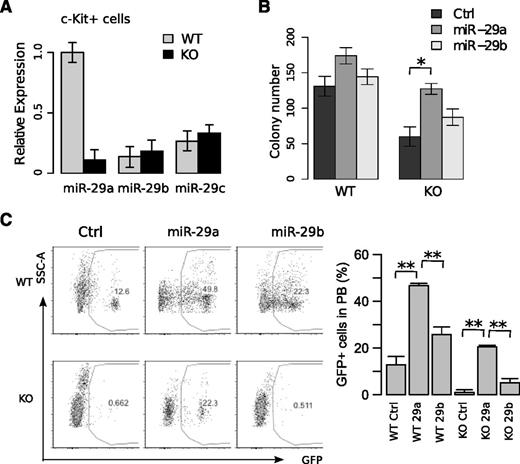 Figure 5. Overexpression of miR-29a, but not miR-29b, rescues the self-renewal defect in miR-29a/b-1-null HSCs. Transcript levels of miR-29 members were measured in (A) c-Kit-enriched cells. (B) Methylcellulose colony forming capability of LSK cells after retroviral overexpression of miR-29a or miR-29b in miR-29a/b-1-null HSPCs. Twenty-four hours following transduction, GFP+ cells were sorted, and 300 were plated per well. Each group represents experiments using 2 mice, with wells plated in triplicate. (C) Transplantation of 300 000 LSK cells from WT or miR-29a/b-1-null HSPCs retrovirally transduced with miR-29a, -29b, or GFP control (n = 6-10 mice per group). Peripheral blood analysis was performed 16 weeks after transplantation. Data represent the aggregate of 2 independent experiments. Error bars indicate SEM. Statistical significance was calculated using a Student t test: *P < .05.
