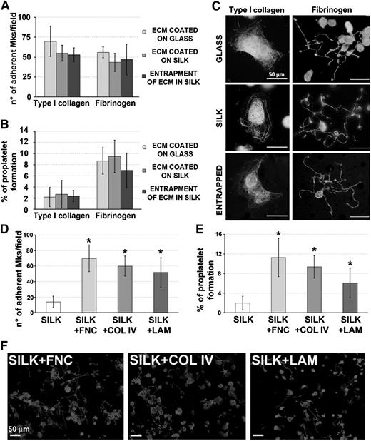 Figure 2. Effect of silk film functionalization on human megakaryocyte adhesion and proplatelet formation. (A-B) Mk adhesion and proplatelet formation on ECM entrapped within silk film followed a similar trend compared with ECM coated on glass coverslip or coated on silk film (average ± SD, n = 4, P = not significant). (C) Representative α-tubulin staining of Mks cultured on coated glass coverslip, coated silk film, or entrapped silk film. Mks were able to sense the proteins entrapped in silk film as they normally spread on type I collagen and form proplatelet on fibrinogen in all tested conditions (scale bar = 50 µm). (D-E) Analysis of silk film functionalization with bone marrow vascular niche ECM components: fibronectin (FNC), type IV collagen (COL IV), and laminin (LAM). Both Mk adhesion and proplatelet formation were not different between the 3 tested ECM components, but significantly higher compared with the nonfunctionalized silk film control only (average ± SD, n = 3, *P < .05). (F) Representative β1-tubulin staining of Mks cultured for 16 hours on functionalized silk films shows that proplatelet morphology was almost similar between the 3 tested conditions (scale bar = 50 µm).
