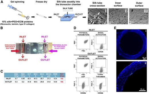 Figure 4. Silk microtube fabrication and analysis of their ability to support platelet perfusion. (A) Silk microtubes are prepared by gel spinning aqueous silk solutions containing PEO porogen around a wire and functionalized via entrapment of ECM components. Resulting microtubes are freeze dried, removed from the wire, and soaked in water to leach out the PEO porogen. The resulting porous silk microtubes are fitted into the bioreactor chamber. (Ai) SEM cross sections of a silk microtube: microtube wall thickness was 50 ± 20 µm, with microtube wall pores diameter of 22 ± 4 μm to allow proplatelet elongation (scale bar = 20 µm). Arrows indicate silk microtubes borders. (Aii-Aiii) SEM images show pores on both the inner and outer surfaces of the silk microtubes, respectively. The inner and outer microtube wall pores diameter was 6 ± 2 μm (scale bars = 20 µm). (B) Whole blood (red) or peripheral blood platelets suspended in culture medium (pink) were perfused into functionalized silk microtubes. (C) Representative analysis of whole blood cells of 1 sample before (inlet) or after (outlet) perfusion. WBC, white blood cells; RBC, red blood cells; HCT, hematocrit; MCV, mean corpuscular volume; MCH, mean corpuscular hemoglobin; MCHC, mean corpuscular hemoglobin concentration; RDW, red blood cell distribution width; PLT, platelet. (D) Representative flow cytometry analysis of peripheral blood platelet basal activation before and after perfusion into silk microtube. Activation with ADP and thrombin demonstrated increased PAC-1 binding, indicating normal CD42b+ platelet functionality after the passage through the silk microtube lumen. (E) Confocal microscopy analysis of CD61+ platelet distribution within microtube lumen after passage of whole blood (green = CD61; blue = nuclei; scale bar = 50 μm). Silk fibroin microtubes were stained with Hoechst 33258 and visualized in blue.