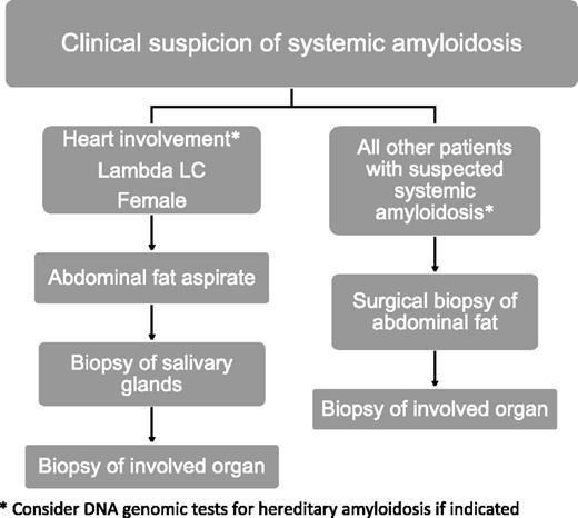 Figure 2. Suggested diagnostic approach and fat tissue biopsy procedure in patients with suspected systemic amyloidoses according to gender, organ involvement, and involved light-chain isotype. Genetic testing for hereditary amyloidosis is indicated in patients with isolated cardiac (to exclude TTR and apolipoprotein A1 amyloidoses) or renal (for fibrinogen and lysozyme) involvement, as well as in those with peripheral neuropathy, either isolated or associated with cardiac involvement (TTR). LC, light chain.