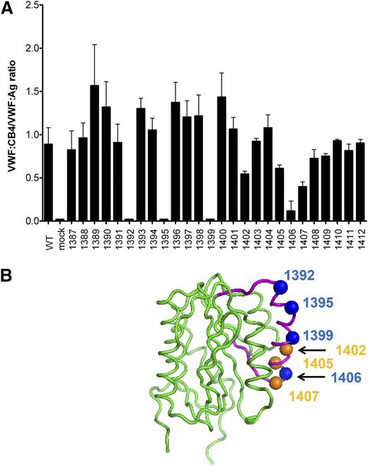 Figure 3. VWF A1 domain contains key residues for collagen 4 binding. Scanning alanine mutagenesis was performed for VWF A1 domain residues 1387 to 1412. (A) VWF:CB4/VWF:Ag ratios for each alanine mutant as listed on the x-axis. Error bars show mean ± 1 SD. (B) Location of key residues with absent binding (blue spheres) or reduced binding (orange spheres) to collagen 4 in a drawing of the VWF A1 domain crystal structure.30 Residues that were changed in the scanning alanine mutagenesis are shown in purple. An 11-amino-acid deletion that also affected collagen 4 binding is not shown for clarity.