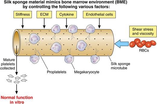 Di Buduo et al demonstrated a combined model to mimic the bone marrow environment to study thrombopoiesis. They previously proposed that silk material-coated microtube structure is capable of recapitulating bone marrow environment, but it failed to obtain a higher rate of mature Mks.8 The improved system included increasing stiffness, extracellular matrix, cytokines, endothelial cells, and modulating shear stress by red blood cells. In this article,1 the authors developed the 3D bioreactor that enhances migration and maturation of Mks, proplatelet generation, and yield of functional platelets. Silk material may be suitable for integration of several factors required for thrombopoiesis ex vivo. Adapted from Figures 5, 6, and 7 in the article by Di Buduo et al beginning on page 2254.