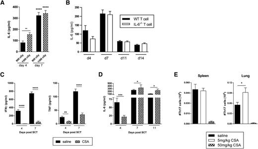 Figure 2. CsA effects on IFN-γ and IL-6 following experimental BMT. (A) IL-6 levels measured in sera of B6D2F1 recipients who received lethal irradiation doses of either 900 or 1300 cGy on day −1 and transplanted with B6.WT BM and splenic T cells on day 0. Data from 2 combined replicate experiments is shown, n = 10 per group. Day 4 vs 7: ****P < .0001; **P = .003. (B) Sera IL-6 levels over time in B6D2F1 recipients irradiated with 1100 cGy on day −1 and transplanted on day 0 with allo BMT grafts consisting of either WT or IL-6−/− T cells with B6.WT BM. Data from 2 combined replicate experiments is shown, n = 10 per group. (C) IFN-γ, TNF, or (D) IL-6 levels were measured in sera from B6D2F1 recipients treated with saline or CsA and transplanted with B6.WT BM and splenic T cells. CsA was administered at 50 mg/kg per dose daily for 7 days. Data from 3 to 7 combined replicate experiments is shown, n = 29 to 30 per group (day 4), 37 or 38 per group (day 7), and 11 to 16 per group (day 11). Day 4, saline vs CsA: ****P < .0001, IFN-γ; ***P = .005, IL-6; **P = .007, TNF. Day 7, saline vs CsA: ****P < .0001, IFN-γ and TNF; *P = .01, IL-6. Day 11, *P < .05. (E) Th17 B6.IL-17-eYFP fate map reporter cells were enumerated in spleen and lung harvested on day 7 from B6D2F1 recipients treated with saline or CsA, and transplanted with B6.WT BM and splenic T cells (n = 9 to 13 per group). CsA was administered at 5 or 50 mg/kg per dose daily for 7 days. Data from 3 combined replicate experiments is shown; *P = .04, saline vs CsA.