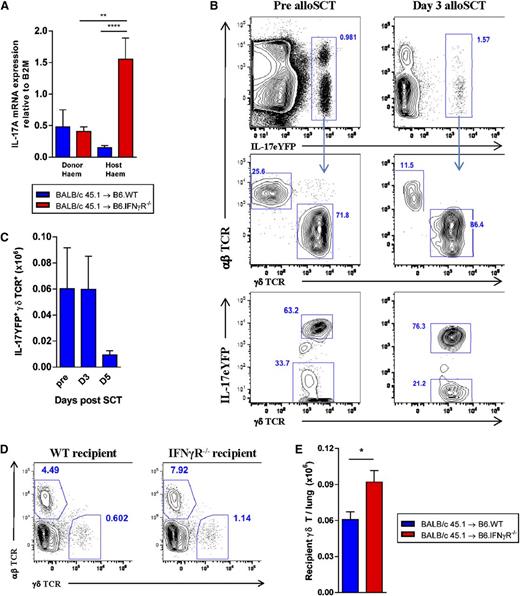 Figure 4. The lung contains large numbers of preformed IL-17A secreting recipient γδ T cells. (A) G-CSF mobilized BALB/c.WT (CD45.1+) grafts were transplanted into lethally irradiated (CD45.2+) B6.WT and B6.IFN-γR−/− recipients (n = 8 to 10 per group combined from 2 experiments). Lung tissue was harvested and cells were sort purified based on donor hematopoietic (CD45.1+) or recipient hematopoietic (CD45.2+) congenic markers at day 5 post-SCT. IL-17A expression was analyzed by qRT-PCR and normalized to β2M. ****P < .0001; **P < .01. (B) G-CSF mobilized BALB/c.WT (CD45.1+) grafts were transplanted into B6.IL-17-eYFP fate map reporter recipients (n = 3 per group) and flow cytometry undertaken on lung cells before and after alloSCT. Representative plots demonstrating that 1% to 2% of lung cells report for IL-17A even prior to alloSCT (top panel) and that these cells are predominantly (72% to 86%) γδTCR+ T cells (middle panel). The majority of all γδTCR+ T cells (63% to 76%) report for IL-17A, even prior to alloSCT (bottom panel). (C) The recipient IL-17A reporter+ γδTCR+ T cells persist in the lung for at least 5 days after SCT. (D) Representative plots of recipient T cells in the lungs of B6.WT or B6.IFN-γR−/− recipients 3 days after alloSCT, and (E) total numbers (n = 5 per group), *P < .01.