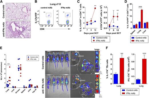 Figure 5. Th17 cells accumulate specifically in the lungs in the absence of IFN-γ signaling. Splenocytes from G-CSF mobilized B6.IL-17-eYFP fate map reporter donors (A-D) or TEa TCR transgenic donors (E-F) were transplanted into lethally irradiated B6D2F1 recipients (n = 3 to 6 per group). Control or anti–IFN-γ mAb (500 μg/dose) was administered every alternate day starting from day 0 and tissues harvested on days 7, 9, or 12. (A) Representative lung pathology in control vs IFN-γ blocked allograft recipients at day 12 post-SCT are shown. (B) Representative dot plots showing the frequency of donor CD4+ IL-17eYFP+ T cells in lung tissue at day 12 post-SCT with anti–IFN-γ or control mAb treatment. (C) Time course data showing accumulation of donor CD4+ IL-17eYFP+ T cells in the lung over time ± IFN-γ blockade. **P = .002, control vs IFN-γ treated groups at day 12. (D) Comparison of donor CD4+ IL-17eYFP+ T-cell frequencies at day 12 post-SCT in different tissues ± IFN-γ blockade. ****P < .0001, control vs IFN-γ treated groups. (E) Alloantigen-specific TEa transgenic T-cell expansion in whole body and individual organs at day 12 post-SCT. Quantified luciferin signals (left) and representative bioluminescence images (right) are shown (n = 7 to 9 per group). Light emission is presented as photons per second per cm2 per steer radiant (ph s−1 cm−2 sr−1). Total flux of organ is presented as photons per second (ph s−1). Lung BLI: ***P = .0003, control vs IFN-γ treated groups. (F) Frequency and absolute number of IL-17A+ TEa T cells in lung at day 12 post-SCT ± IFN-γ blockade (n = 10 per group). ***P = .0007, ****P < .0001, control vs IFN-γ treated groups. All data representative of at least 2 combined replicate experiments. Ing LN, inguinal lymph node; mLN = mesenteric lymph node.