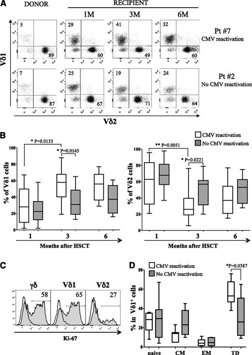 Figure 3. Circulating γδ T cells in patients experiencing CMV reactivation. (A) Vδ1 and Vδ2 subsets (percentages are indicated) were identified in gated CD45+CD3+γδ+ cells by flow cytometry using PBMCs from 2 representative cases, evaluating both donors and patients 1, 3, and 6 months post-HSCT. Patient 7 did experience CMV reactivation, whereas patient 2 did not. (B) Comparative analysis of Vδ1 (left panel) and Vδ2 (right panel) T cells was performed in patients who did experience CMV reactivation (white plots) and in those who did not (gray plots). Vδ1 and Vδ2 cells were identified in gated CD45+CD3+γδ+ cells. (C) Intranuclear expression of Ki-67 (filled profiles) shows proliferating status in CD45+CD3+γδ+, CD45+CD3+γδ+Vδ1+, and CD45+CD3+γδ+Vδ2+ cells. Empty profiles represent staining with isotype control. (D) Percentage of naïve, CM, EM, and TD was evaluated by flow cytometry in gated CD45+CD3+γδ+Vδ1+ T cells collected from patients who did experience CMV reactivation (white plots) and in those who did not (gray plots) 3 months after HSCT. Pooled results are shown. Whisker lines represent the highest and lowest values; horizontal lines represent median values.
