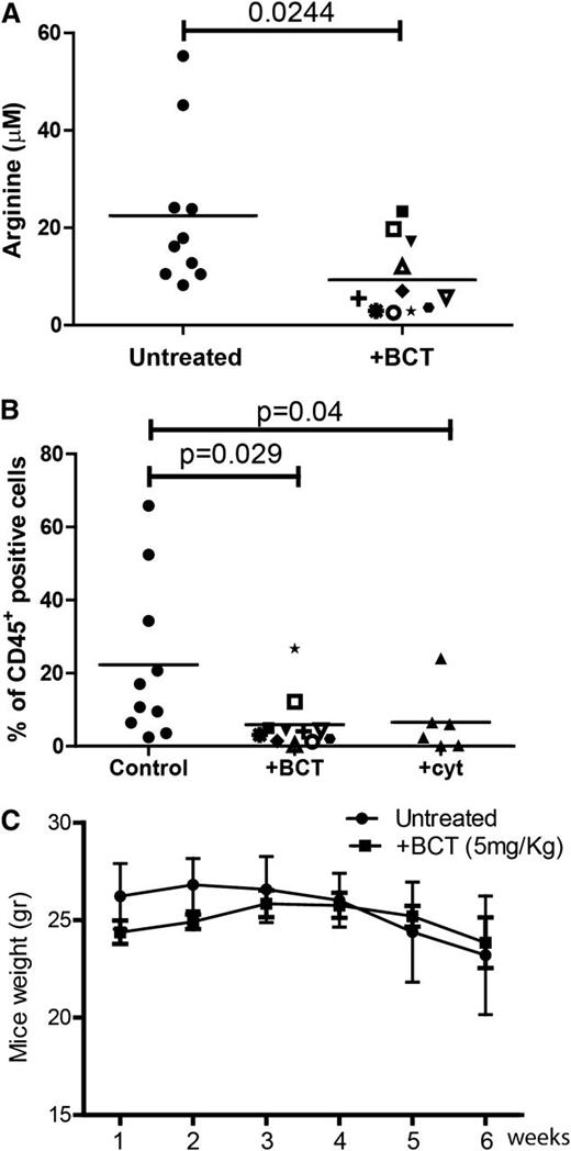 Figure 2. BCT-100 arginine depletion reduces the number of viable AML blasts in vitro and in vivo. (A) Plasma from control and BCT-100 treated NOG mice were collected after 14 days. The concentration of arginine was determined by ELISA. BCT-100 significantly lowers the plasma arginine concentration in vivo (P < .0244). (B) NOG mice were injected with HL-60 AML blasts. BCT-100 (5 mg/kg) or cytarabine (25 mg/kg) was given i.p. injections twice a week. Bone marrow was sampled from the femurs after 5 weeks to assess hCD45+ cells by flow cytometry. BCT-100 leads to significantly lower AML engraftment (P = .029), equivalent to cytarabine treatment. Data are representative of 2 independent experiments. (C) Untreated and BCT-100 NOG mice engrafted with HL-60 AML showed no significant difference in body weight in response to treatment.
