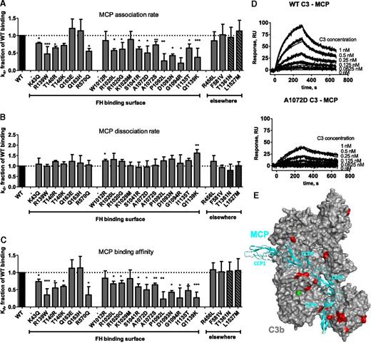 Figure 3. Influence of the mutations on MCP binding. Kinetic analyses were performed by SPR with recombinant soluble MCP on the chip. The running buffer was composed of 10 mM HEPES (pH 7.4), 0.005% Tween-20, and 25 mM NaCl. The recombinant C3 proteins were injected for 300 seconds at 30 μL/min, followed by dissociation of 300 seconds. The chip was regenerated by injection of 0.5 M NaCl. The results are presented as a fraction of WT binding. (A) Association rate constants for MCP binding. (B) Dissociation rate constants for MCP binding. (C) Affinity for MCP binding. (D) Example of SPR sensorograms and kinetic fits for MCP binding. (E) Model of the putative MCP binding site, obtained by molecular modeling and based on the structures of FH CCP1-48 and MCP.14 MCP CCP1-4 are indicated in cyan. Mutations are mapped in red. *P < .05; **P < .005, t test.
