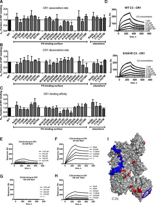 Figure 4. Influence of the mutations on CR1 binding. Kinetic analyses were performed by SPR with recombinant soluble CR1 immobilized on the chip. The running buffer was composed of 10 mM HEPES (pH 7.4), 0.005% Tween-20, and 25 mM NaCl. The recombinant C3 proteins were injected for 300 seconds at 30 μL/min, followed by dissociation of 300 seconds. The chip was regenerated by injection of 0.5 M NaCl. The results are presented as a fraction of WT binding. (A) Association rate constant for CR1 binding. (B) Dissociation rate constant for CR1 binding. (C) Affinity for CR1 binding. (D) Example of SPR sensorograms and kinetic fit for MCP binding. (E) SPR analysis of the binding of C3d to CR1 in low ionic strength buffer. (F) C3b binding to CR1 in the same buffer. (G) Lack of binding of C3d to immobilized CR1 in normal ionic strength buffer. (H) The binding of C3b to immobilized CR1 in the same buffer. (I) Location of the putative CR1 binding site on C3b, comprising residues 727 to 767 of the α′NT region5 in blue and the suggested second binding site in the TED domain in a blue circle. Mutations are mapped in red. *P < .05; **P < .005, t test.