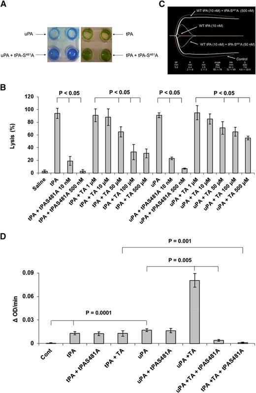 Figure 2. Inhibition of plasminogen activation by tPA variant depends on the conformation of plasminogen. (A) tPA-S481A inhibits lysis of plasma clots. Plasma clots were lysed by WT-tPA (10 nM) or WT-uPA (10 nM)24 in the absence or presence of tPA-S481A (50 nM). (B) Clot lysis by WT-tPA and WT-uPA was performed as in panel A in the absence or presence of the indicated concentrations of tPA-S481A or tranexamic acid (TA). The data are expressed as percent lysis compared to WT-tPA and WT-uPA alone. The mean ± SD of 3 experiments is shown. (C) Lysis of clots prepared from fresh whole human blood by WT-tPA (10 nM) was monitored by thromboelastography30 in the absence (Control) or presence of 50 nM or 500 nM tPA-S481A. Data represent results from 1 of 3 independent experiments. (D) Effect of tPA variants on PA activity of tPA and uPA in the absence of fibrin. Plasminogen (500 nM) was incubated alone (Cont) or with WT-tPA (5 nM) or uPA (5 nM) in the absence or presence of tPA-S481A (100 nM) or tranexamic acid (1 µM) plus a plasmin chromogenic substrate (100 µM) (TA). The OD at 405 nm was measured continuously over the next 20 minutes.22 In another set of experiments, tranexamic acid was added together with tPA-S481A (100 nM). The data are expressed as the change in OD per minute. The figure shows that tPA-S481A had no effect on plasminogen activation by tPA or uPA in the absence of fibrin and that the effect of tranexamic acid mimics the stimulatory effect of fibrin on plasminogen activation by uPA and inhibition by the tPA variant. Comparisons between groups were analyzed using the Student t test. The mean ± SD of 3 experiments is shown. SD, standard deviation.
