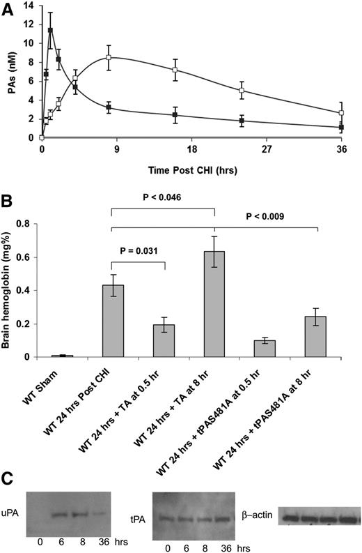 Figure 7. tPA and uPA participate in the delayed bleeding post-CHI. (A) Time course of tPA and uPA release post-CHI. The concentrations of tPA (filled squares) and uPA (empty squares) in the CSF of WT mice were measured by enzyme-linked immunosorbent assay before or at different time points after CHI. The mean ± SE of 3 experiments is shown (n = 3-7). (B) uPA mediates the delayed ICH in untreated mice. CHI was induced in WT mice. Thirty minutes or 8 hours postinjury, mice were given tPA-S481A (1 mg/kg) or tranexamic acid (TA; 150 mg/kg). Twenty-four hours after CHI, brain hemoglobin was determined as in Figure 3B. The mean ± SD of 3 experiments performed is shown (n = 5-7). (C) The expression of uPA (upper row) and tPA (lower row) was measured in the brain parenchyma of WT mice without (time 0) or at specified times after CHI by western blot analysis. The lower panel shows expression of β-actin as a loading control. Data represent results from 1 of 3 independent experiments.