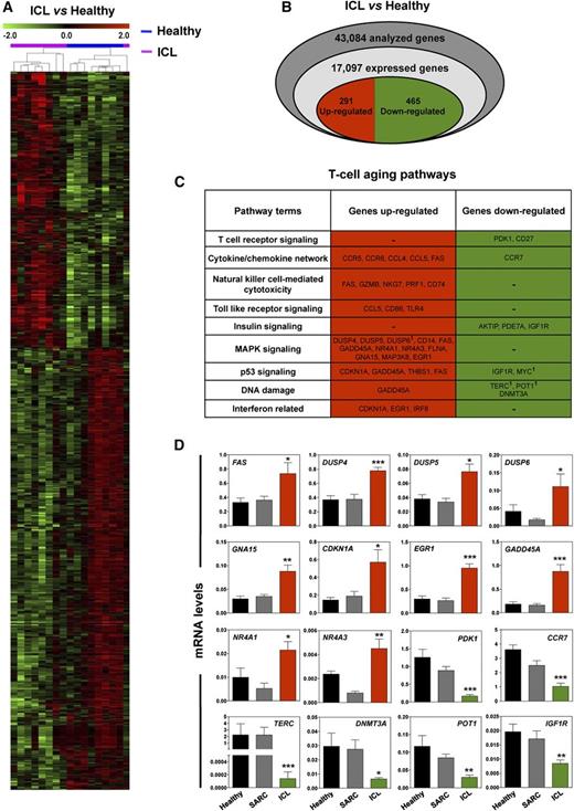 Figure 1. Aging gene-expression profiles in CD4+ T cells from patients with ICL. (A) Regulated genes across the samples were hierarchically clustered according to their mean-normalized intensity across all samples. Blue and pink samples correspond to CD4+ T cells from healthy subjects (n = 8) and patients with ICL (n = 9), respectively. (B) Venn diagram of analyzed, expressed, and regulated genes in CD4+ T cells for patients with ICL vs healthy subjects. Upregulated and downregulated genes are indicated by red and green colors, respectively. (C) Results extracted from the Gene Ontology analysis, KEGG pathway, and list of genes regulated in healthy T cells during aging28 were combined to delineate a specific T-cell aging pathway in ICL. 1Genes that are significantly regulated in another hierarchical clustering. (D) Ten representative genes of the upregulated group and 6 of the downregulated group were monitored by quantitative PCR in healthy (n = 12), SARC (n = 8), and ICL (n = 12) CD4+ T cells. Each individual sample was run in triplicate. Results are expressed as mRNA levels after normalization to GAPDH mRNA levels. *P < .05, **P < .005, and ***P < .0005 compared with healthy CD4+ T cells (as determined using the Mann-Whitney U test).
