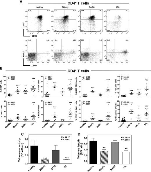 Figure 3. CD4+ T cells exhibit a senescent profile in ICL. (A and B) Flow-cytometric analyses of CD27, CD28, CD57, and KLRG1 expression in CD3+CD4+-gated PBMCs from healthy, elderly, SARC, and ICL subjects. Quadrants were set on controls stained with the corresponding isotype control Ab. Representative dot plots showing coexpression of CD27 and CD28 or CD57 and KLRG1 are shown (A). Comparison of the frequencies of CD27−, CD28−, HLADR−, CD57−, KLRG1−, and granzyme B-expressing CD4+ T cells in healthy (n = 28), elderly (n = 6), SARC (n = 8), and ICL (n = 20) individuals. Lines indicate the mean ± SD values, and each symbol represents the value from an individual (B). (C and D) Telomerase activity (C) and telomere length (D) were measured in PBMCs from the aforementioned groups by Telomere Repeat Amplification Protocol, followed by enzyme-linked immunosorbent assay detection and quantitative PCR, respectively. Results (mean ± SD) are from 3 independent experiments and show the optical density values (C) or are expressed as the ratio of telomere repeat copy number (T) to albumin copy number (a single-copy gene, S) within the same DNA sample in each group (D). Kruskal-Wallis H test values and associated P values are indicated. *P < 0.05, **P < 0.005, and ***P < 0.0005 compared with healthy leukocytes (as determined using the Mann-Whitney U test).