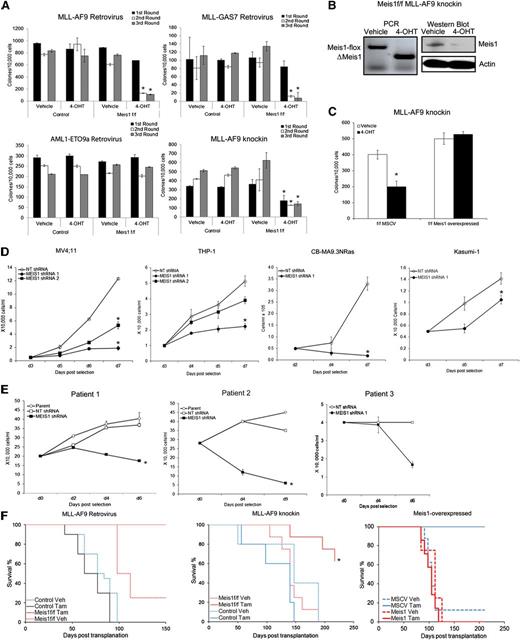 Figure 1. Loss of Meis1 impedes propagation of MLL-fusion gene leukemia. Retroviral and knockin models of leukemia were generated as described. (A) Colony-replating assays were performed in methylcellulose media supplemented with 4-OHT or vehicle. Bar graphs represent colony numbers from 1 representative experiment for each leukemia model. Data represent mean ± standard error of the mean (SEM) of triplicates. *P < .01, Student t test. (B) Genomic PCR and Western blot demonstrating Meis1 depletion by 4-OHT treatment in Meis1f/f MLL-AF9 knockin cells. (C) Meis1f/f MLL-AF9 cells were transduced with control (MSCV) or Meis1 retrovirus. The bar graph represents colony numbers formed by transduced cells cultured in the presence of vehicle or 4-OHT. Data are mean ± SEM for 3 independent experiments. (D) MV4;11, THP-1, CBMA9.3NRas, and Kasumi-1 cells were transduced with lentivirus carrying shRNA against Meis1 or nontargeting (NT) control. Transduced cells were cultured in liquid medium. Cell growth was assessed by counting viable cells, at designated days post-puromycin selection. (E) Leukemic blasts from patients were transduced with MEIS1- or NT-shRNA. Line graphs depict growth curves of 3 different patient samples. (F) Control or Meis1f/f MLL-AF9–transformed cells (retroviral and knockin) were transplanted into irradiated mice. Animals were treated with tamoxifen or vehicle. Graphs depict leukemia-free survival of the various groups in the retroviral (left) and knockin (middle) or Meis1-overexpressed knockin (right) models. n = 5 to 10 mice per group. *P < .01, log-rank test.