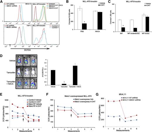 Figure 2. Meis1 regulates oxidative stress and oxygen flux in leukemia. (A) Representative histograms of intracellular ROS (DCFDA) in MV4;11 and THP-1 cells transduced with MEIS1-shRNA (left column). The right panels display ROS levels in Meis1f/f MLL-AF9 knockin or control leukemic cells treated with vehicle (V), 4-OHT, or a combination of 4-OHT and N-acetyl cysteine amide (NACA). (B) Bar graph depicting results of colony assay with Meis1f/f MLL-AF9 cells in the presence of vehicle or 4-OHT, with or without the addition of NACA to the media. Data are mean ± SEM *P < .01, Student t test. (C) Meis1f/f MLL-AF9 cells were transduced with retrovirus carrying SOD2, a nonfunctioning mutant of SOD2, or control retrovirus (MIT). The bar graph depicts colony numbers formed by transduced cells in each condition in the presence of vehicle or 4-OHT. (D) Mice were transplanted with Meis1f/f MLL-AF9 leukemic cells expressing firefly luciferase. Recipients were treated with vehicle, tamoxifen, or tamoxifen + NACA as described. Leukemia burden was analyzed by live-animal imaging. Representative images of mice in each group are shown. The bar graph on the right depicts measured bioluminescence in each group (n = 5 mice per group). (E-G) Oxygen consumption rates (OCR) were measured using the Seahorse XF analyzer. Representative graphs depict OCR measured at 5 minute intervals in control and Meis1f/f MLL-AF9 knockin, Meis1f/f with Meis1-overexpressed, and MV4;11 cells. After 3 measurements at baseline, the ATP-synthase inhibitor oligomycin was added to the wells (arrow) and measurements were repeated. All data points are mean ± SEM of triplicates. n = 3 independent experiments.