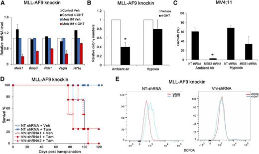 Figure 3. Hypoxic states reverse the effects of Meis1 depletion. (A) Quantitative real-time PCR analysis of a subset of Hif1α target genes in control and Meis1f/f MLL-AF9 cells treated with vehicle (Veh) or 4-OHT. The bar graph displays mean ± SEM. (B) Bar graph depicting colony numbers formed by Meis1f/f MLL-AF9 knockin cells under ambient air or hypoxia, treated with vehicle or 4-OHT. (C) MV4;11 cells transduced with control (NT) or MEIS1-shRNA were cultured in the presence of ambient air or hypoxia (3% oxygen). The bar graph depicts percentage (%) increase in growth over 72 hours for each condition. Data represent mean ± SEM of 2 independent experiments. *P < .01. (D) Meis1f/f MLL-AF9 leukemic cells were transduced with lentivirus-bearing control (NT) or Vhl-shRNA. Transduced cells were transplanted into irradiated mice and recipient animals treated with tamoxifen or vehicle as described. The graph depicts leukemia-free survival of the various groups of mice. *P < .01, log-rank test, n = 5 per group. (E) Fluorescence-activated cell sorting analysis of intracellular ROS (staining) in Meis1f/f MLL-AF9 knockin cells transduced with control (NT) or Vhl-shRNA and treated with vehicle or 4-OHT. Results of 1 representative experiment are shown (n = 3).