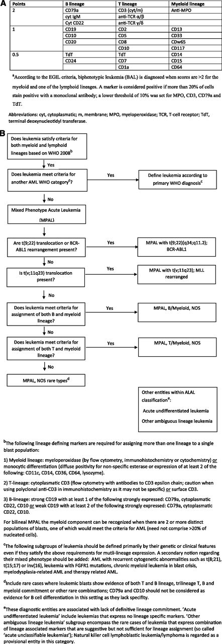 Figure 2. Diagnostic criteria for BAL and MPAL. (A) EGIL criteria for the diagnosis of biphenotypic acute leukemia.a (B) 2008 WHO criteria. Leukemias that fail to demonstrate differentiation along a single lineage are defined as acute leukemias of ambiguous lineage (ALAL) and are further subdivided into diagnostic subgroups. A practical approach for the diagnosis of MPAL is presented.