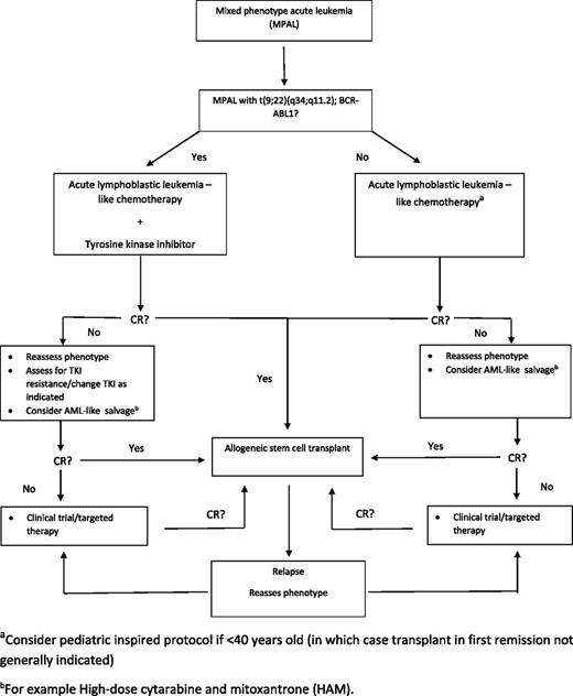 Figure 3. The approach to therapy in patients with mixed-phenotype acute leukemia (MPAL). Targeted therapy based on a patient’s specific genetic profile should be considered in refractory/relapse patients (eg, MLL rearrangements, FLT3-ITD, IDH1, IDH2).
