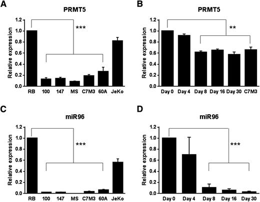 Figure 4. PRMT5 transcript and miR96 are silenced in EBV-transformed cells and during B-cell immortalization. (A-B) PRMT5 messenger RNA (mRNA) expression was measured by qRT-PCR in resting B cells (RB), transformed B cells (A) and at various time points after EBV infection of normal B cells (B). C7M3 is a fully transformed LCL (B). The bar graph shows normalized fold expression of PRMT5 mRNA relative to normal B cells using glyceraldehyde-3-phosphate dehydrogenase (GAPDH) as internal control. (C-D) miR96 expression was measured by qRT-PCR in RB cells (RB), transformed B cells (C) and at various time points after EBV infection of normal B cells (D). JeKo is a MCL cell line used as control (C). The bar graph shows normalized fold expression of miR96 relative to normal B cells using GAPDH as internal control. **P < .01; ***P < .005. Error bars indicate SEM.
