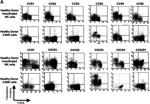Figure 2. Chemokine receptor distribution on the cell surfaces of healthy donor–derived NK-cell subsets. Unactivated peripheral NK cells and CANK cell lines were generated and quadruple stained, as described in “Materials and methods.” (A) Chemokine receptor expression on healthy donor CD16+ and CD16− unactivated NK and CANK cells. (B-C) Representative chemokine receptor expression values on unactivated NK and CANK cells based on their CD16 phenotype. Indicated values represent the percentage of cells of the total cell population positive for a certain chemokine receptor. (D-G) Time-dependent changes in chemokine receptor expression on NK cells stimulated with 50 U/mL IL-2 in comparison with CANK cells. (D) CXCR3 changes on CD16+ NK. (E) CXCR4 changes on CD16− NK. (F) CCR2 changes on polyclonal NK. (G) CX3CR1 changes on CD16+ NK. Values indicate mean fluorescence intensity (MFI) values for each staining. (H) Migration assay for healthy donor polyclonal unactivated NK (light gray) and CANK cell lines (dark gray) to multiple chemokines at optimal concentration levels was performed, as described in “Materials and methods.” Matching receptor and concentration used for each chemokine are indicated in brackets. Results are from 1 representative experiment of 3 to 23 experiments performed.