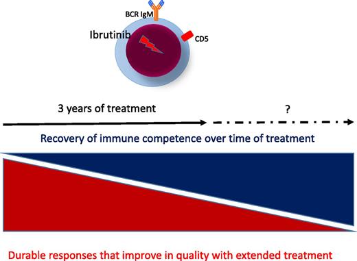 Consequences of prolonged treatment with ibrutinib in CLL. BCR, B-cell receptor.